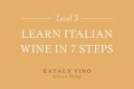 Eataly Vino - Learn Italian Wine In 7 Steps - Level 3 0