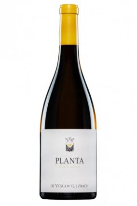 De Vescovi Ulzbach - Bianco Planta 2019